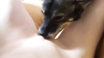Cute Kittens Licking Turns Me On