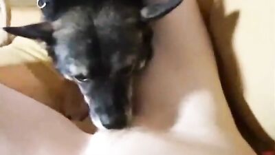 Cute Kittens Licking Turns Me On