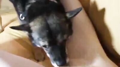 Cute Kittens Licking Turns Me On