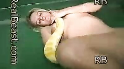 Snake room
