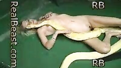 Snake room