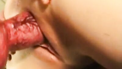 Pawsome Blowjob Machine