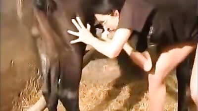King of animals