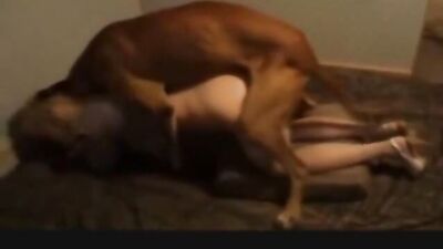 Women and dogs