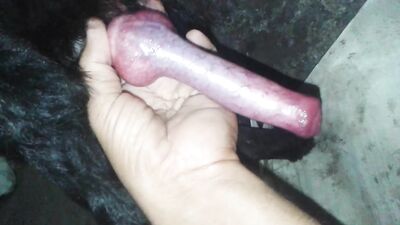 Mutt Lovers Dream: Hung Stud Fucks Eager Pup In Steamy Doggy Anal