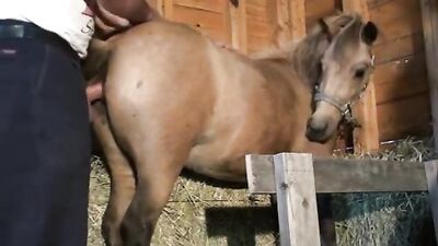 Daring Dog Lovers Sizzling Blowjob Surprise