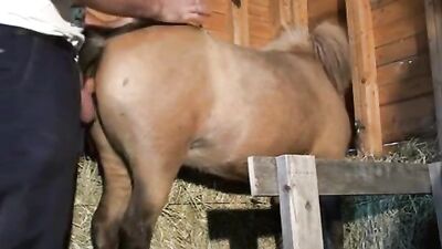 Daring Dog Lovers Sizzling Blowjob Surprise
