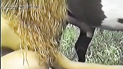 Nice chick with pony