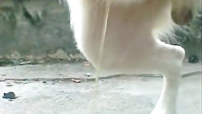 Kinky Russian Cutie Drinks Bulldogs Fresh Piss in Wild Zoo Session