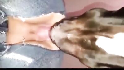 Wifes Wild Zoo Mating Ritual