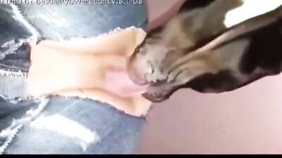 Wifes Wild Zoo Mating Ritual