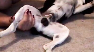 Busty Babe Pleases Tiny Pup