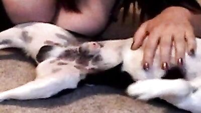 Busty Babe Pleases Tiny Pup
