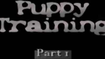 PuppyTraning