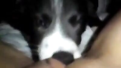 her lil puppy