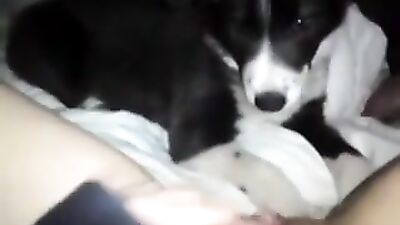 her lil puppy