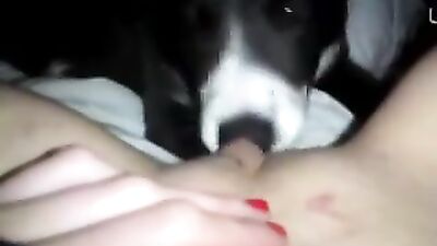 her lil puppy