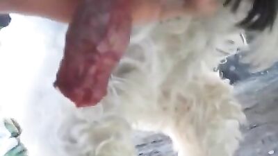 my first masturbate