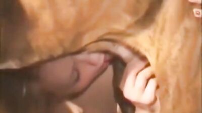 Tasting Dog Cum