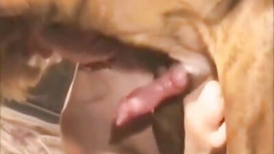 Tasting Dog Cum