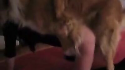 PUSSY GET FUCK HARD BY DOG