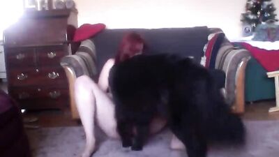 Dogs Desire More Than Just Belly Rubs