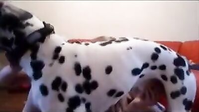 Dog cum part 3
