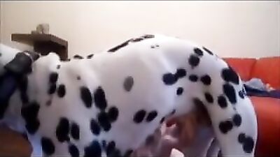 Dog cum part 3