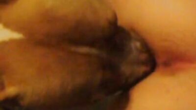 Doggone Secret: My Steamy Animalsex Encounter