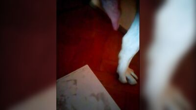 Puppys Hot Cumshot for Hungry Wife