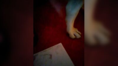 Puppys Hot Cumshot for Hungry Wife