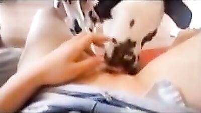 Dalmata Like Pussy