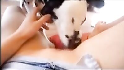 Dalmata Like Pussy