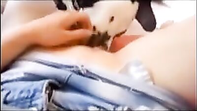 Dalmata Like Pussy