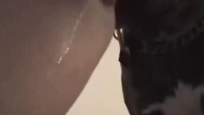 Puppys Hungry Mouth Drips with Dads Hot Seed