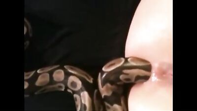 snake in her ass