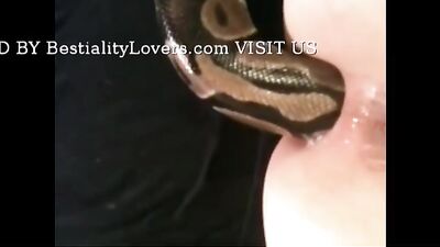snake in her ass