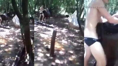 fun with donkey sex gay