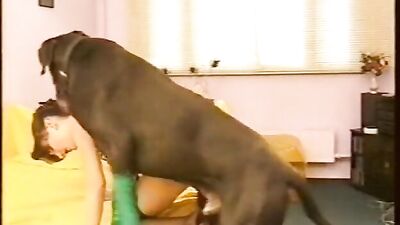 Drooling Dog Devours Girls Pussy