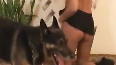 Horny Dog Lover