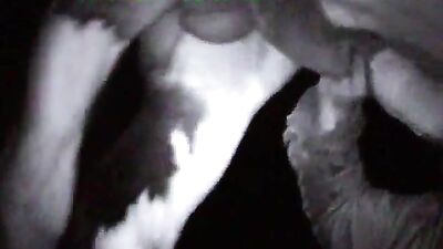 Horny Teen Farmer Seduces Hung Stallion In Sizzling Horse Sex Orgy