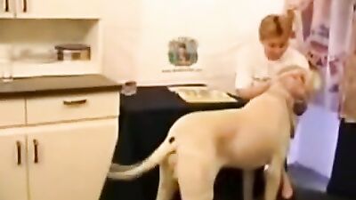 Wife Serves Up Morning Wood To Hung Dog Stallion