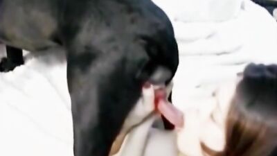 Great dog suck