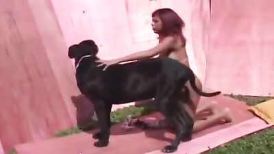 Girl takes dog cum