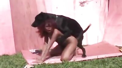 Girl takes dog cum