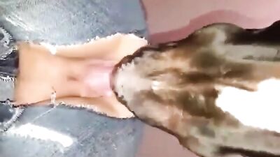 I love having my pussy eaten