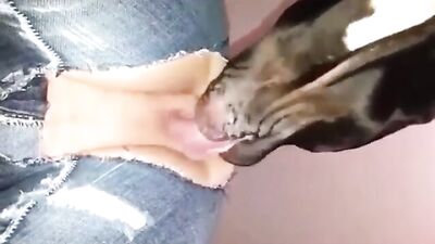 I love having my pussy eaten