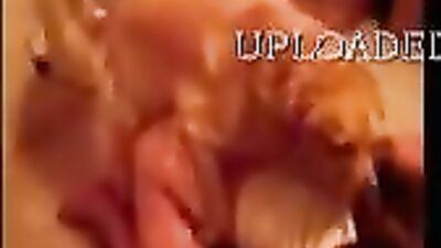 Dog Hump