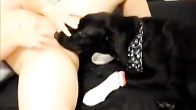 Dog Drinking Pussy Squirt