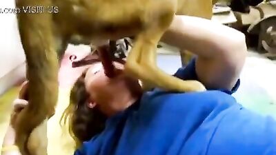 Doggy BJ